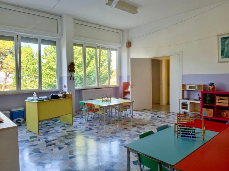 Sezione Api 2026